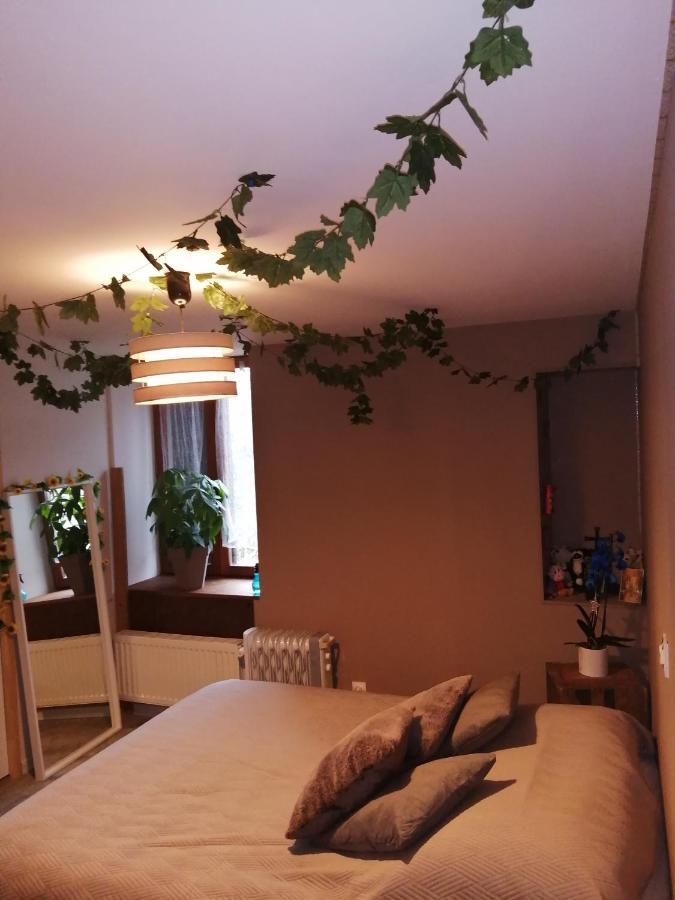 "Les Chaillottes" Chailles  Exteriör bild